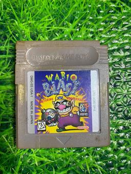 Nintendo Game Boy Color with Warioblast