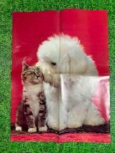 80s cat and dog poster