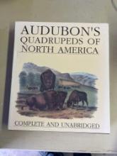 Audobons Quadrupeds of North America
