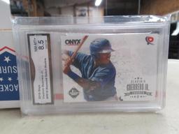 Vladimir guerrero jr.