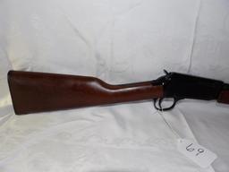 Henry 22 caliber pump
