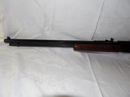 Henry 22 caliber pump