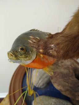 Mink & Blue Gill