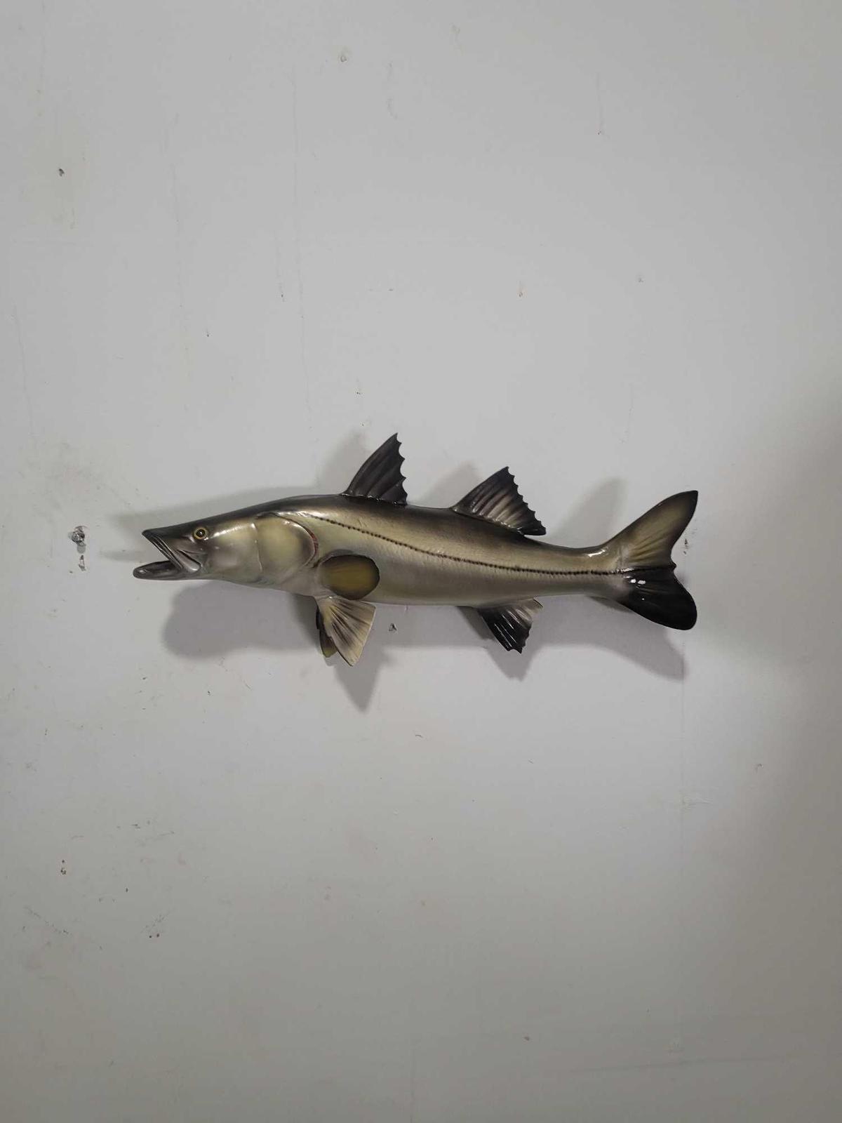 SNOOK HIGH END REPLICA TAXIDERMY FISH MOUNT