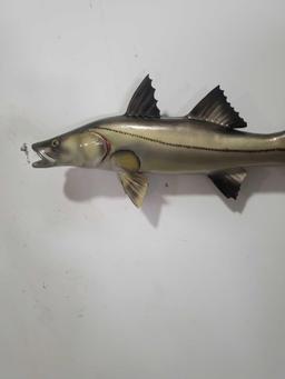 SNOOK HIGH END REPLICA TAXIDERMY FISH MOUNT