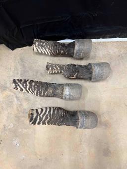 Zebra Feet