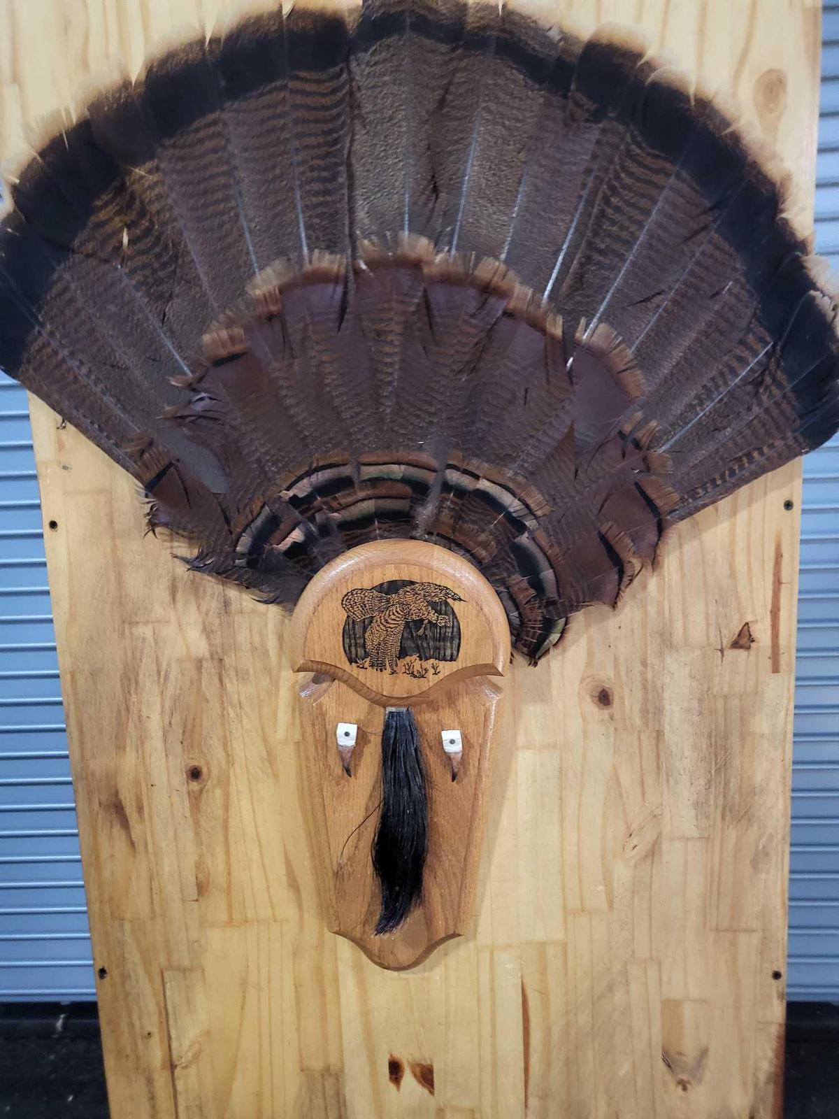 TAXIDERMY TURKEY TAIL