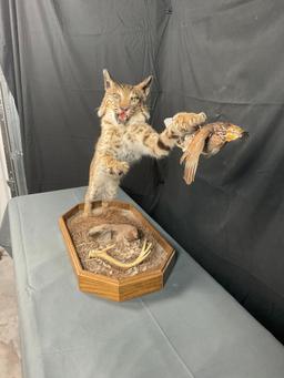 Bobcat W/Base