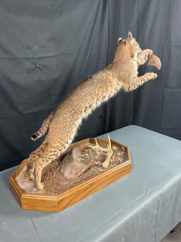 Bobcat W/Base