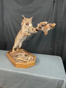 Bobcat W/Base