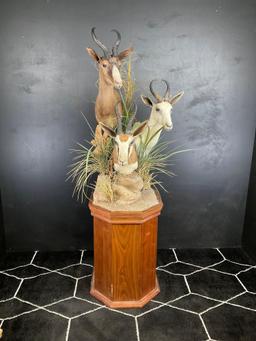 Triple African Springbuck on Pedestal