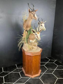Triple African Springbuck on Pedestal