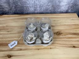 4 Groundhog Skulls Good Condition