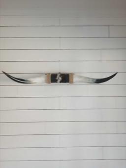 Super Nice Bull Horns