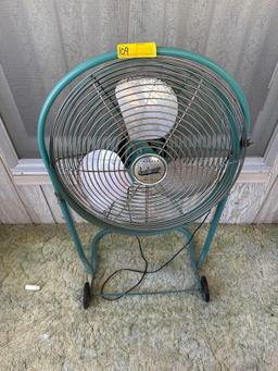 Fan