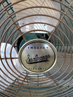 Fan