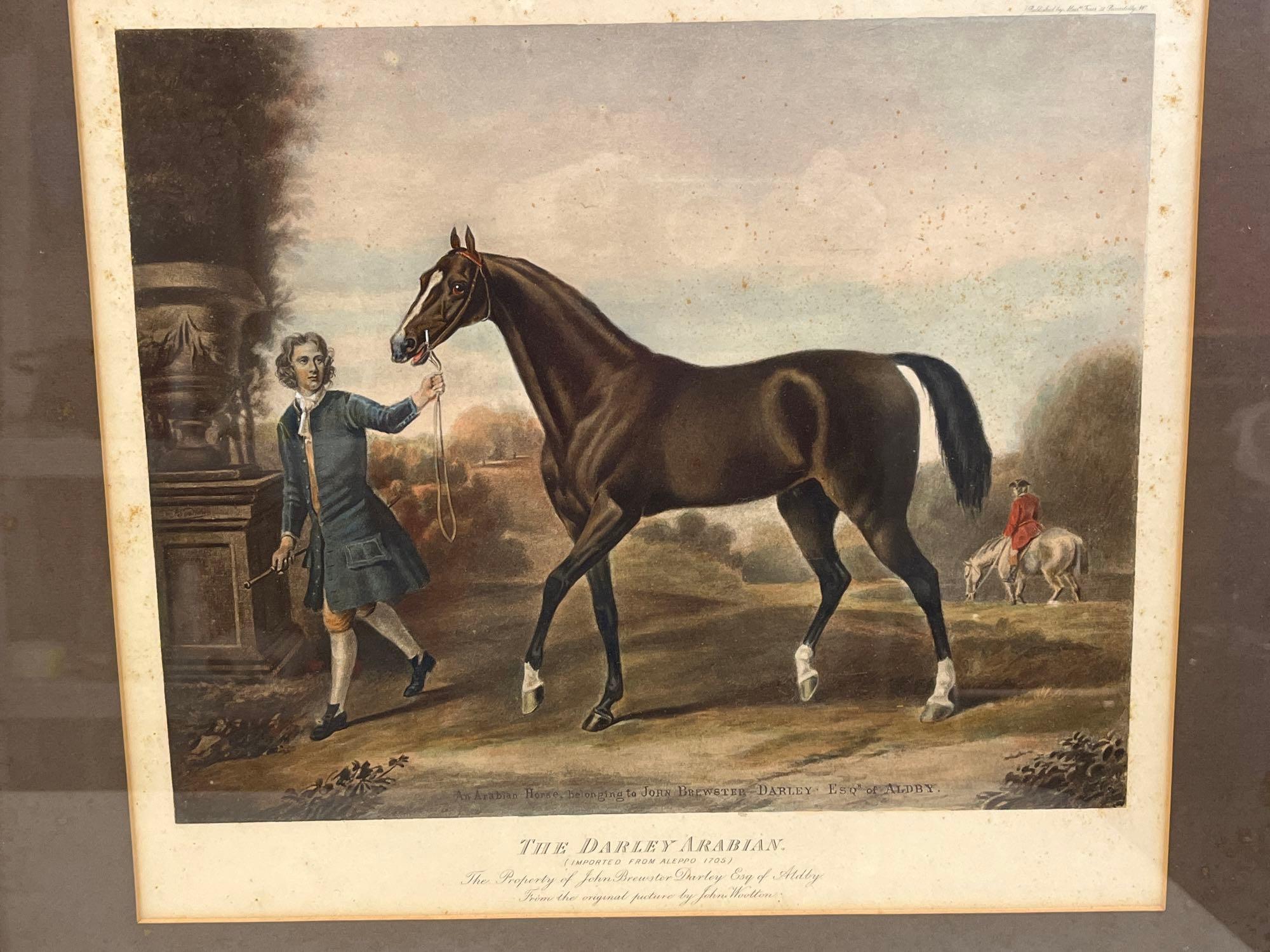 2 Framed Equestrian Prints- "A Hunting Morn" by George Wright and "The Darley of Arabia"
