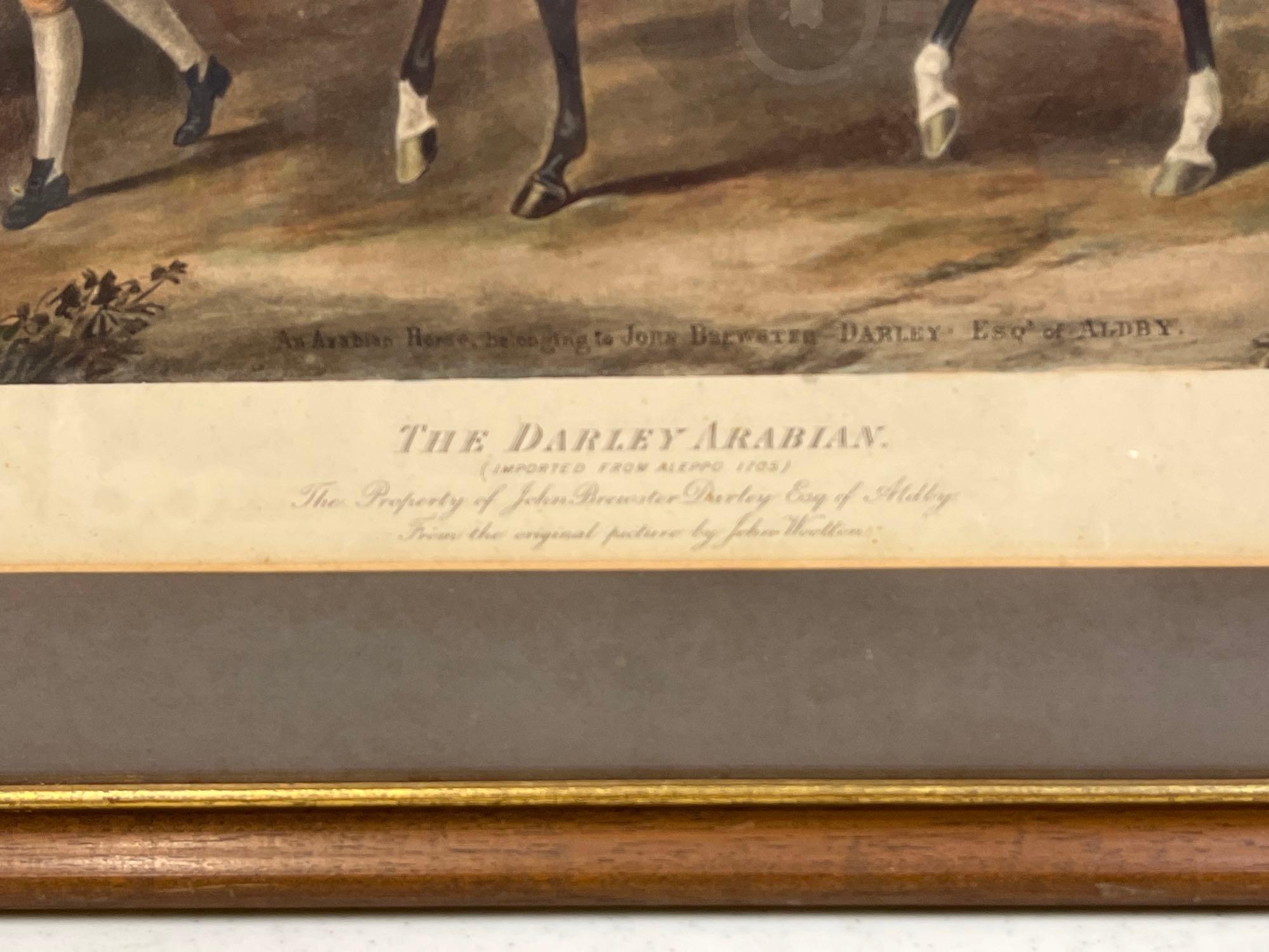 2 Framed Equestrian Prints- "A Hunting Morn" by George Wright and "The Darley of Arabia"