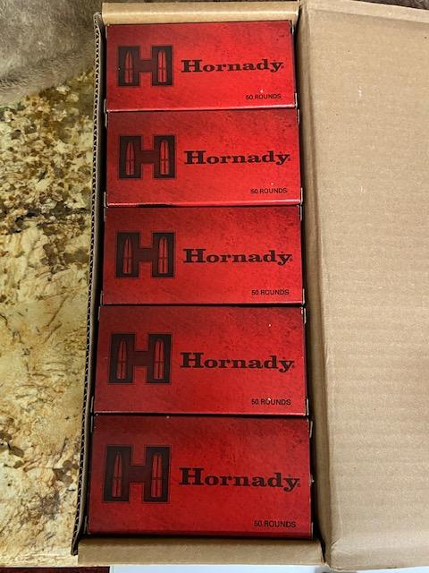(10) BOXES HORNADY 5.45X39