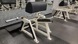 BODY MASTERS SEATED ARM CULR STATION WITH BAR