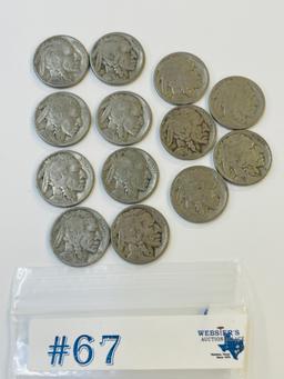 13PC BUFFALO NICKELS 1920-1927