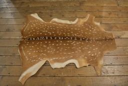 48" Zika Deer Hide