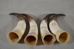 [4] Polished Cow Horns