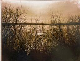 Framed Photograph Of River