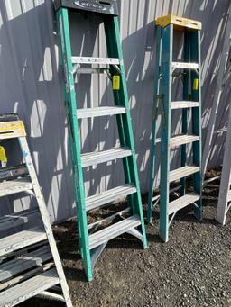 (2) Werner 6' Fiberglass Stepladder