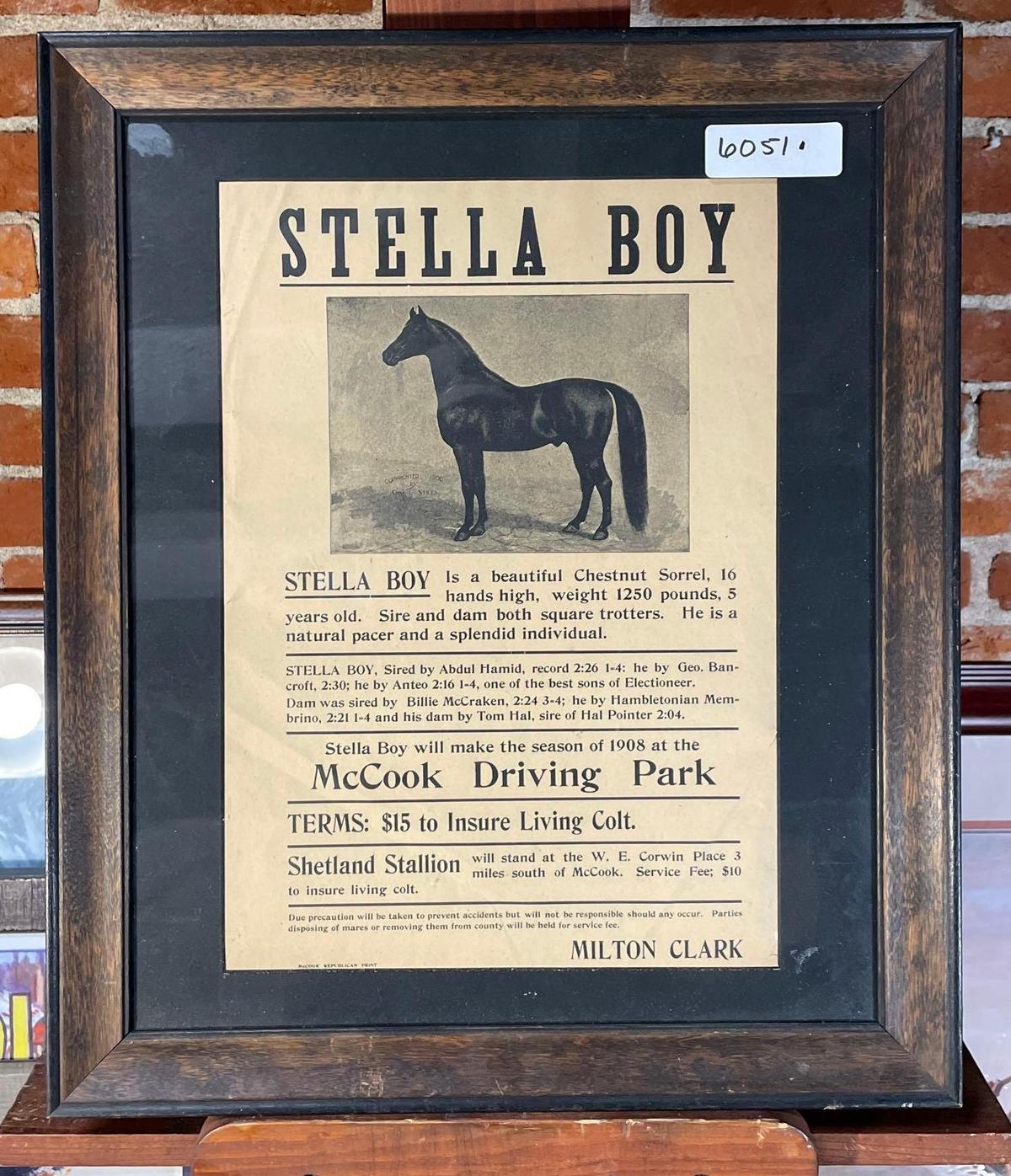 Original Ad "Stella Boy" (1908)