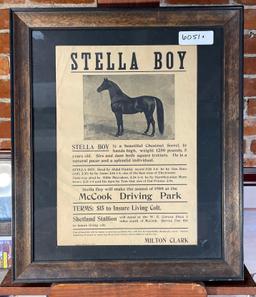 Original Ad "Stella Boy" (1908)