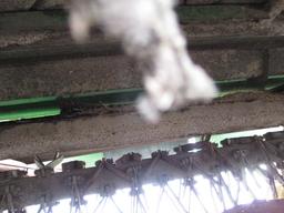 John Deere 936 Moco flails conditioner
