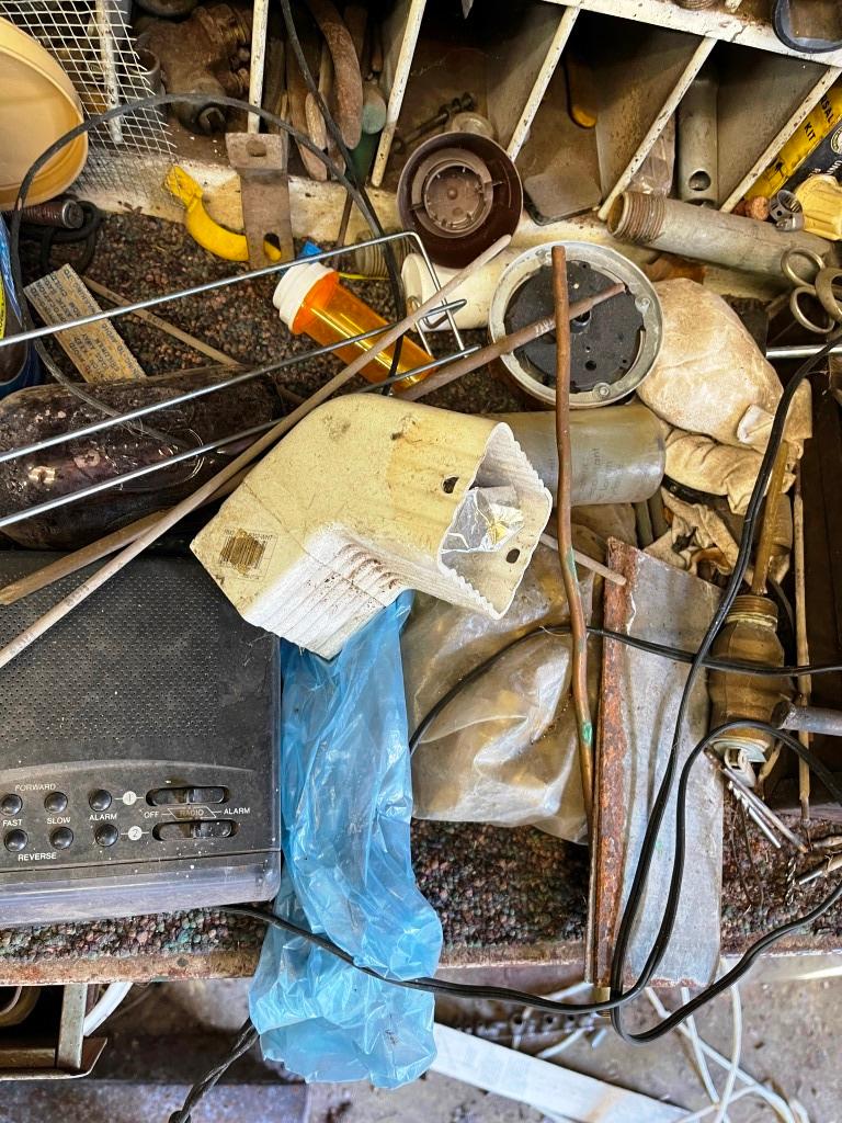Contents of Workbench
