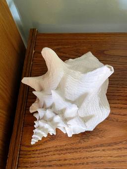 Shells, Coral, Cart