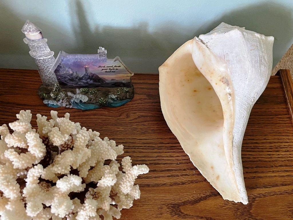 Shells, Coral, Cart