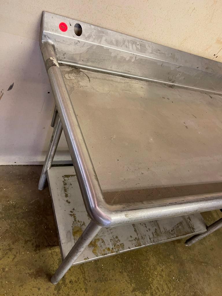 Stainless Steel Sink with Commercial Disposal