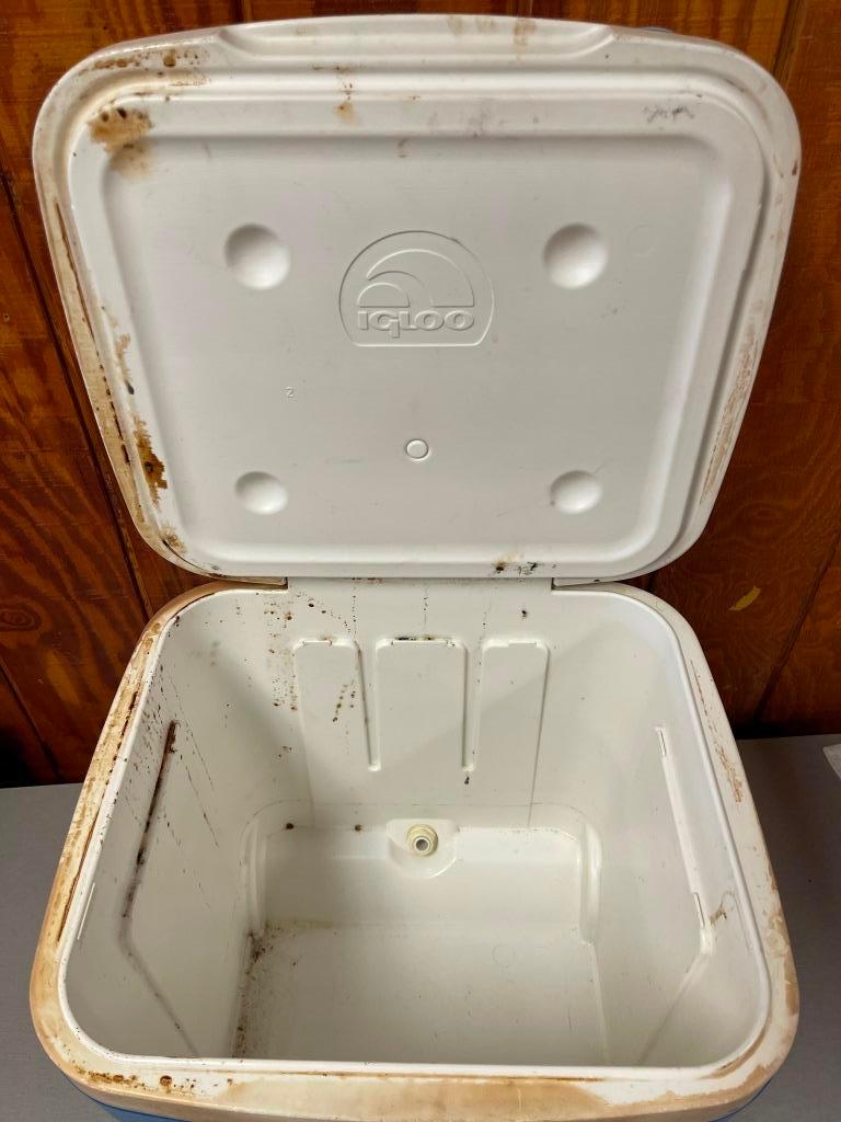 Igloo Ice Cube Cooler