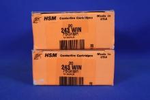 Ammo, 243 Win. 40 Rounds Total.