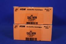 Ammo, 243 Win. 40 Rounds Total.