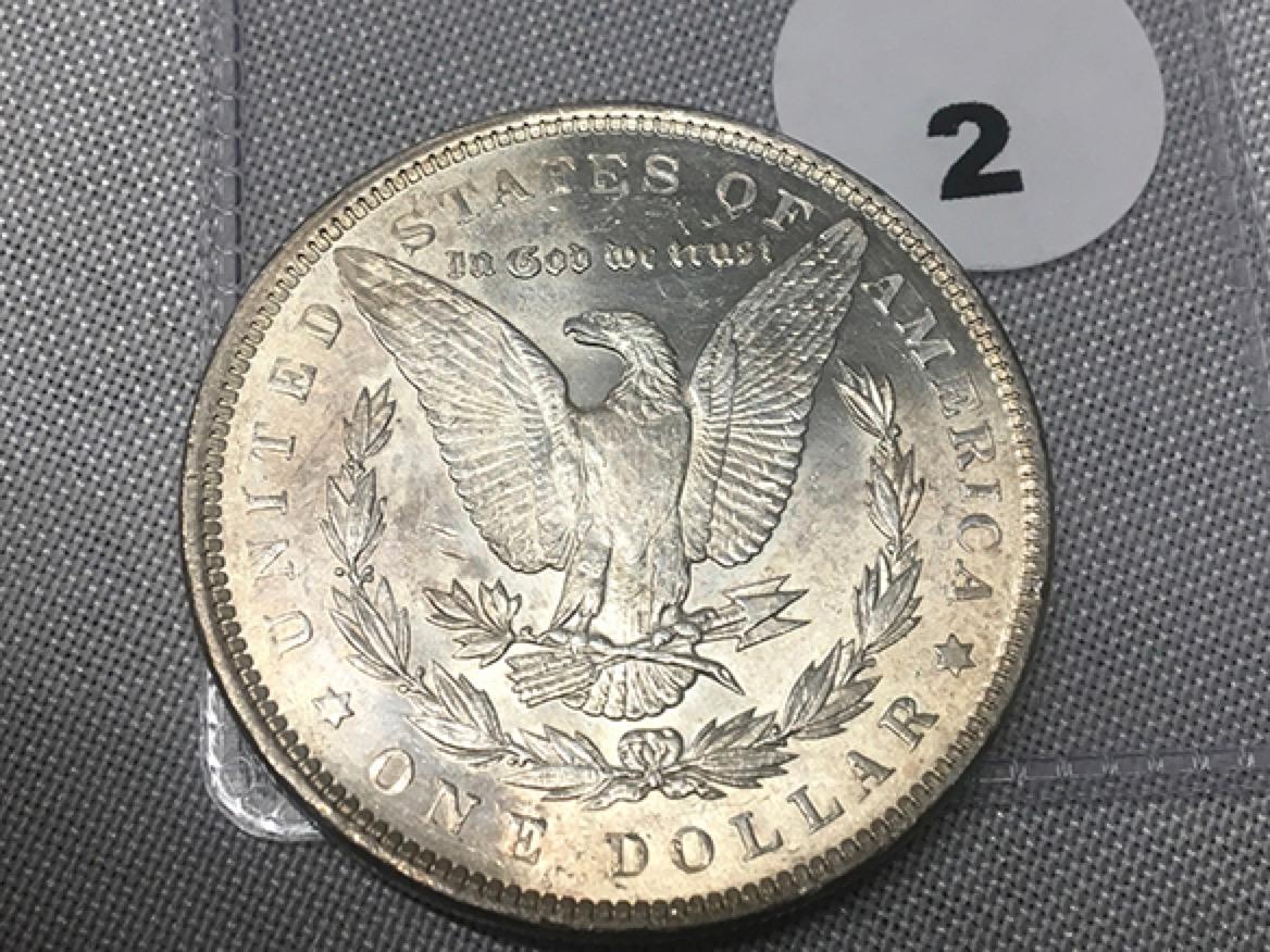 1891 Morgan Dollar