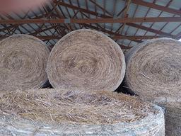 10x$ Grass Lagume Hay, Fertilized, Stored Inside