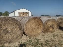 10x$ Fescue Hay, 1st Cutting, Fertilized