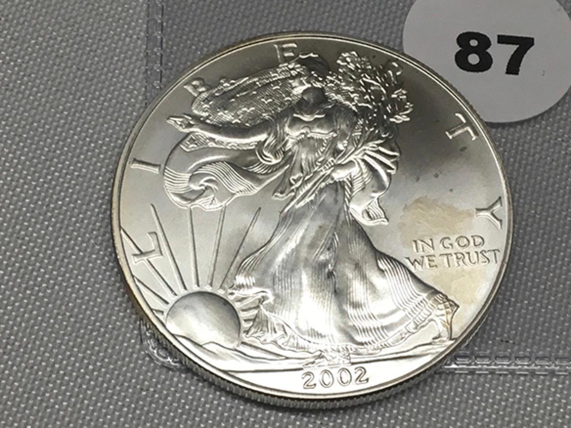 2002 Silver Eagle