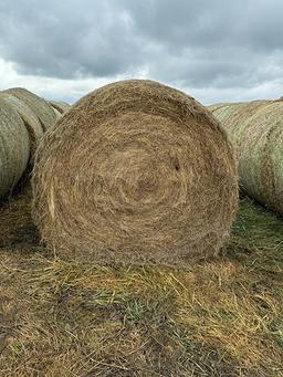20 X $ Grass Hay