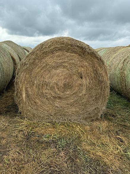 20 X $ Grass Hay