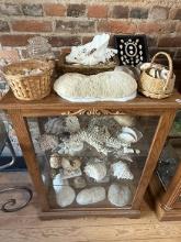 Oak 27 in. Wide X 37 1/2 in.Tall Curio Cabinet Sells Complete w/Shell Collection
