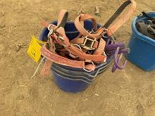 (3) Feed Buckets, Halters, etc.