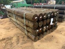 Bundle Of (28) NEW Treated 6inx8ft Post