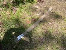 Old Crosscut Saw Blade
