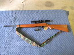 Ruger 10/22